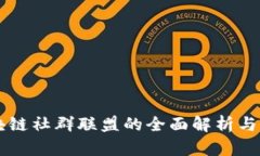 区块链社群联盟的全面解