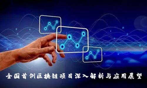 全国首例区块链项目深入解析与应用展望