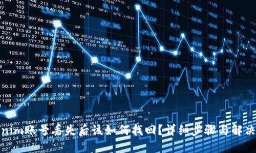 Tokenim账号丢失后该如何找回？详细步骤与解决方案