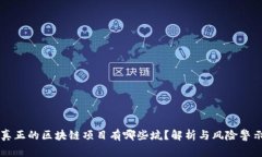 真正的区块链项目有哪些