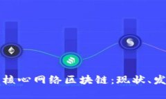 全面解析核心网络区块链