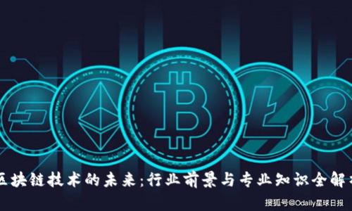 区块链技术的未来：行业前景与专业知识全解析
