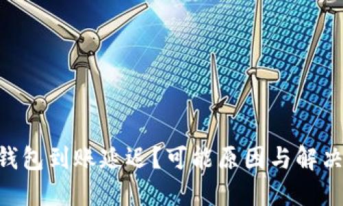 Tokenim钱包到账延迟？可能原因与解决方案详解
