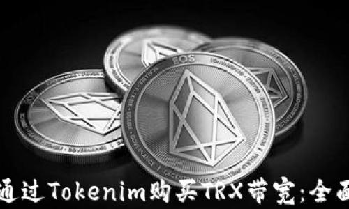 
如何通过Tokenim购买TRX带宽：全面指南