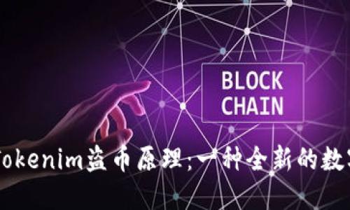baioi深入了解Tokenim盗币原理：一种全新的数字货币安全威胁