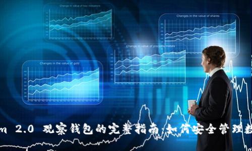 Tokenim 2.0 观察钱包的完整指南：如何安全管理数字资产