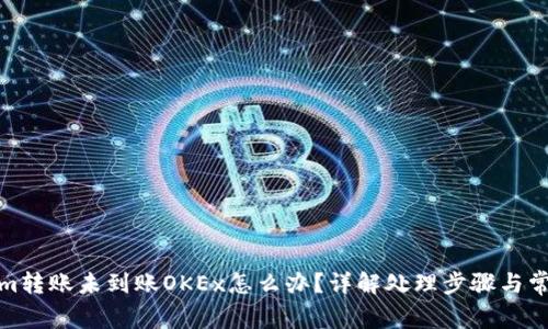 Tokenim转账未到账OKEx怎么办？详解处理步骤与常见问题