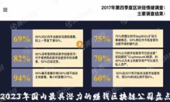 2023年国内最具潜力的赚钱