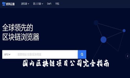 国内区块链项目公司完全指南