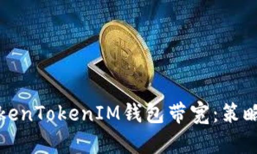 深入解析TokenTokenIM钱包带宽：策略与应用场景