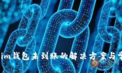 Tokentokenim钱包未到账的解