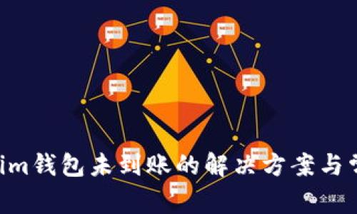 Tokentokenim钱包未到账的解决方案与常见问题解析
