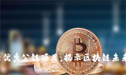 2023年十大优秀公链项目，揭示区块链未来的发展方向