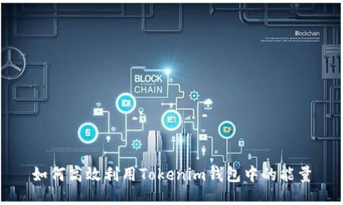 如何高效利用Tokenim钱包中的能量