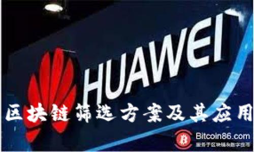 十大区块链筛选方案及其应用解析