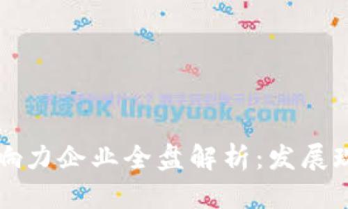 重庆区块链影响力企业全盘解析：发展现状与未来前景