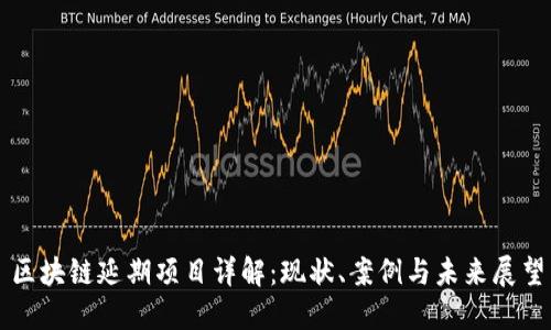 区块链延期项目详解：现状、案例与未来展望