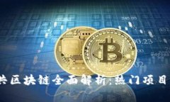 2023年公共区块链全面解析