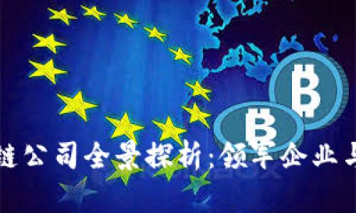 中国区块链公司全景探析：领军企业与行业趋势