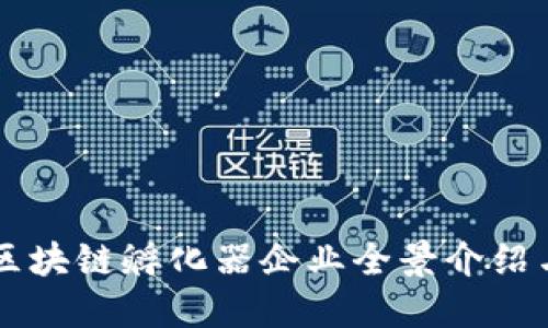 成都区块链孵化器企业全景介绍与推荐