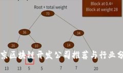 北京区块链开发公司推荐