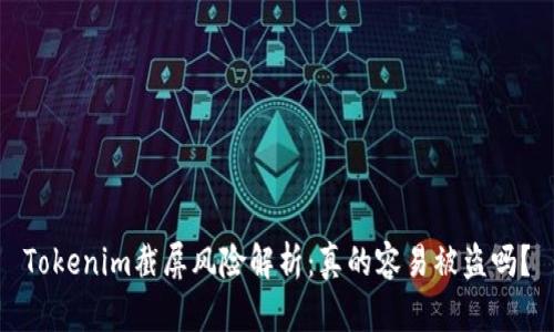 Tokenim截屏风险解析：真的容易被盗吗？