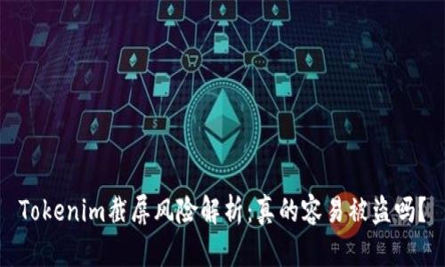Tokenim截屏风险解析：真的容易被盗吗？