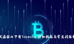 如何在国内下载Tokenim：详