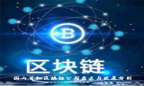 国内首批区块链公司盘点与发展分析