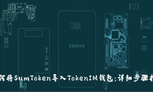 如何将SumToken导入TokenIM钱包：详细步骤指南