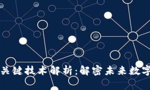 区块链网的关键技术解析：解密未来数字经济的基础