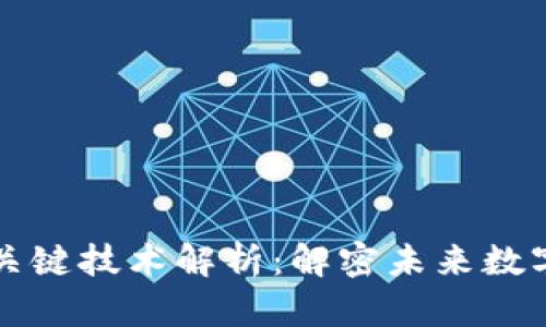 区块链网的关键技术解析：解密未来数字经济的基础