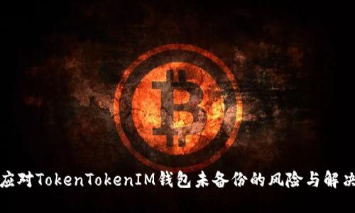 如何应对TokenTokenIM钱包未备份的风险与解决方案