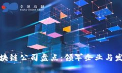 海南区块链公司盘点：领