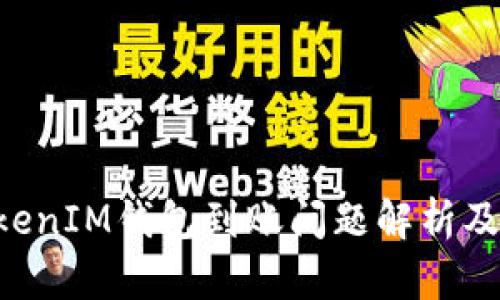 TokenTokenIM钱包到账问题解析及解决方案