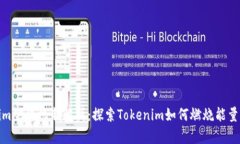 Tokenim燃烧机制解析：探索