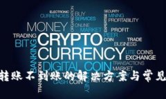 Tokenim转账不到账的解决方
