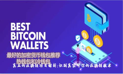 真正的区块链项目解析：识别真实可信的区块链技术