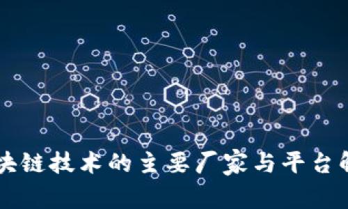 区块链技术的主要厂家与平台解析