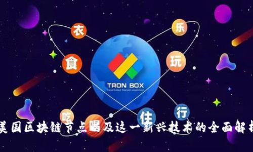 美国区块链节点以及这一新兴技术的全面解析