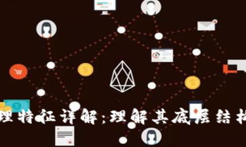区块链的物理特征详解：理解其底层结构与运行机制