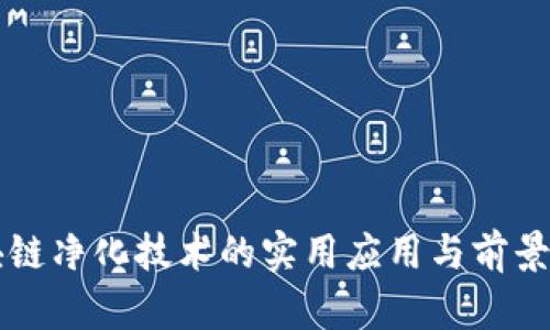 区块链净化技术的实用应用与前景解析