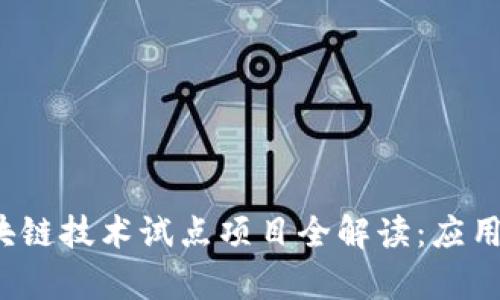 2023年区块链技术试点项目全解读：应用与趋势分析