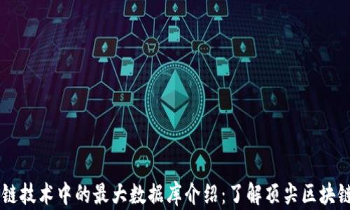 区块链技术中的最大数据库介绍:了解顶尖区块链平台