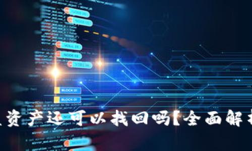 Tokenim被盗资产还可以找回吗？全面解析及防范措施