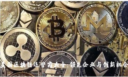 美国区块链运营商大全：领先企业与创新机会