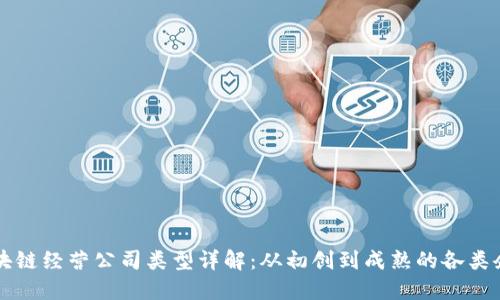 区块链经营公司类型详解：从初创到成熟的各类企业