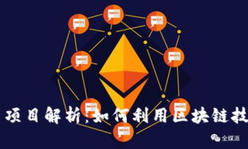 区块链赋能教育项目解析：如何利用区块链技术提升教育质量