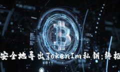 如何安全地导出TokenIm私钥