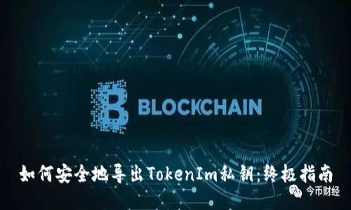 如何安全地导出TokenIm私钥：终极指南